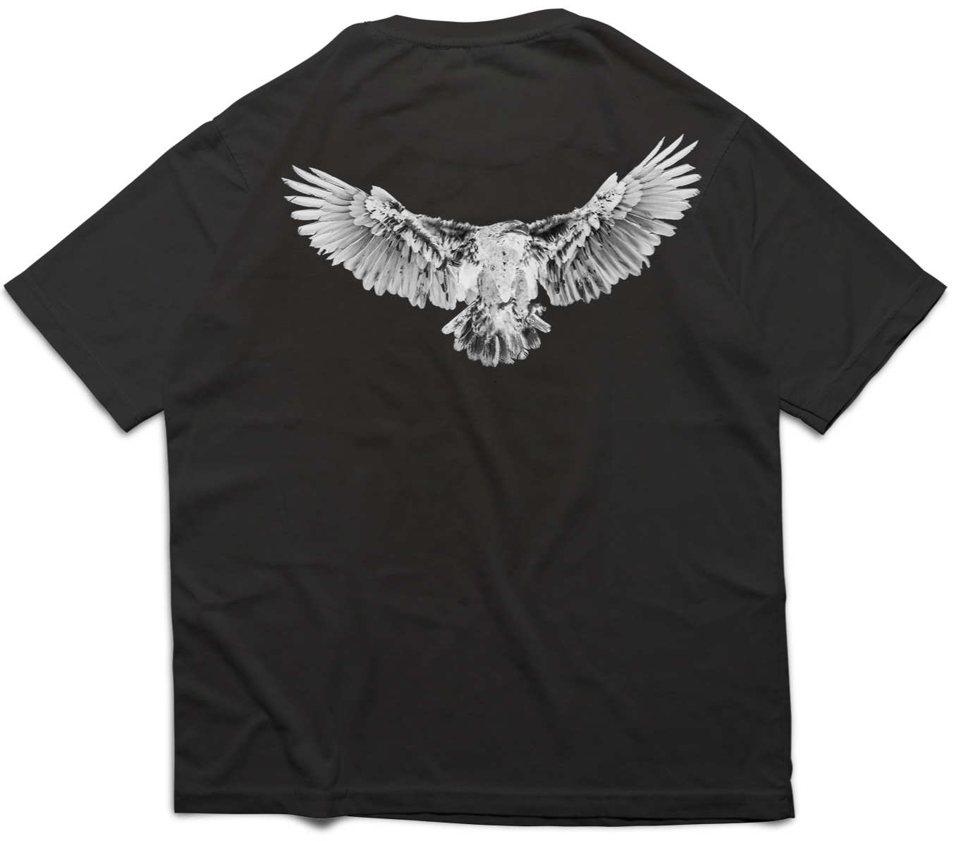 Eagle Vision